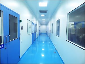 Cleanroom Partitions, Wall Panels, Ceilings, Doors, Windows with Civil Structures.